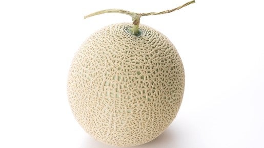 <Web割対象商品>【キングツアーバス旅】一度は見たい!見渡す限りのネモフィラブルー ひたち海浜公園ネモフィラ〔多摩センター・聖蹟桜ヶ丘発〕2